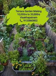 Terrace Gardening Service At Best