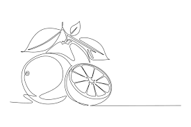Design Vector Graphic Ilration