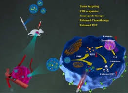 targeted chemo photodynamic therapy