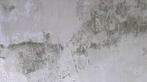 Dirty Walls Stock Footage Royalty
