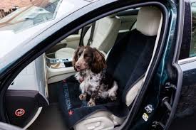 Car Seat Cover For Dogs Pet Rebellion