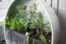 Make An Indoor Herb Planter In 10