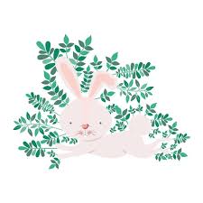 Gray Garden Rabbit Vector Images