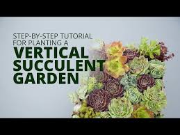 Make A Vertical Succulent Arrangement