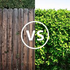 Garden Fencing Vs Hedging Which Is