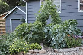 Vegetable Garden Mulch