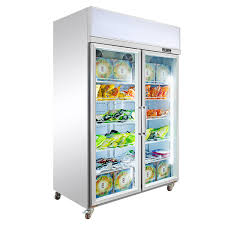 Door Display Fridge Cooler Freezer
