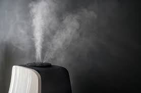 Diffe Types Of Humidifiers And Why