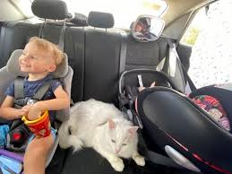 Road Trip With A Baby Or Toddler