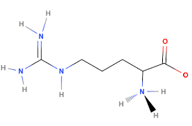 Amino Acids At Ph 7 Glutamic Acid