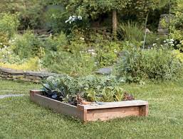 How To Build A Raised Garden Bed