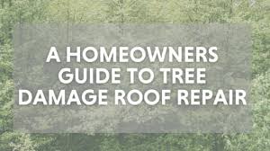 Tree Damage Roof Repair