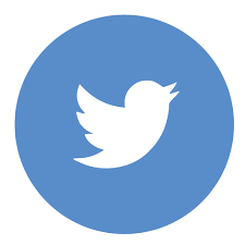 Color Twitter Icon In Svg