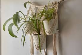 Diy Macrame Hangers For Indoor Plants