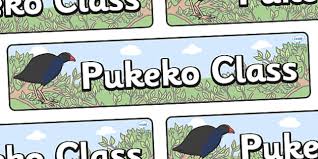 Pukeko Themed Classroom Display Banner