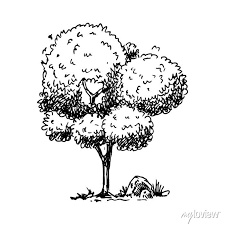 Hand Drawn Tree Doodle Sketch Style