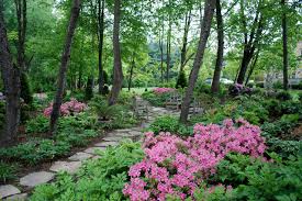 Epic Garden In The Shade