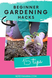Gardening S For Beginners Tips And