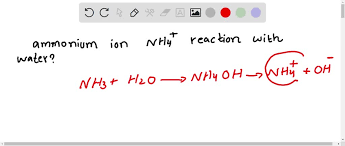 Solved Ammonium Ion Nh4 Is A Weak
