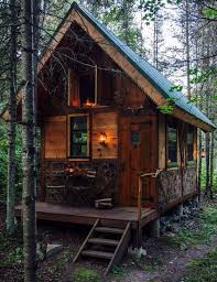 Little Cabin Rustic Cabin Tiny House