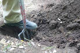 Garden Bed With Double Digging