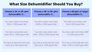 What Size Dehumidifier Do You Need