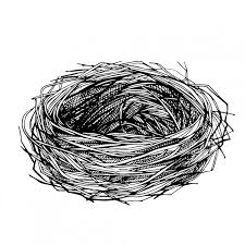 Sketch Hand Drawn Bird S Nest Empty