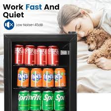Beverage Cooler Mini Refrigerator