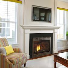 Gas Fireplaces Best Fire Hearth Patio
