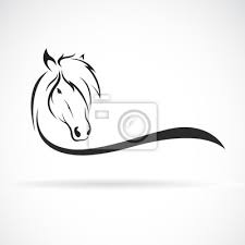 Vector Of Horse Head Design On A White