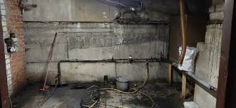 What To Do After Sewage Backup How To