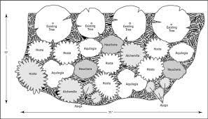 Designing Perennial Beds And Borders