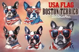 Usa Flag Dog Boston Terrier Sublimation