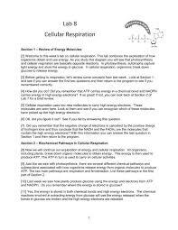 Lab 8 Cellular Respiration Pierce College