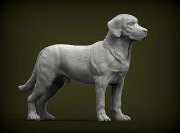 Labrador 3d Model 3d Printable Cgtrader