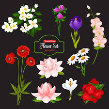 Flower Cartoon Icon Of Blooming Garden