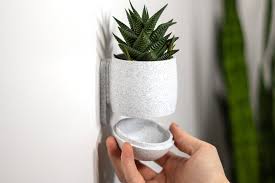 Wall Planter With Drip Tray