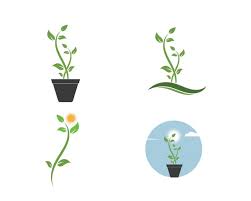 Plant In Pot Ilration Vector