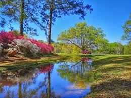 Callaway Gardens Atlanta United