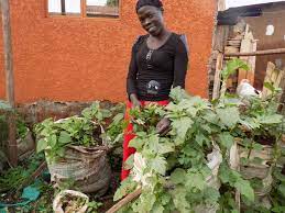 Sack Gardening Uganda Gifts With A