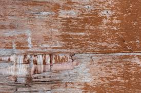 Old Wood Texture Images Free