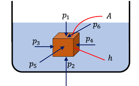 Archimedes Principle