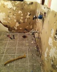 On Plaster Walls From 1920s