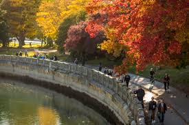 See Fall Colours Around Vancouver