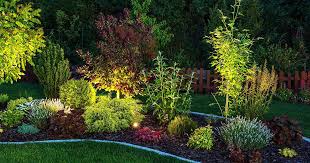 Best Lighting For Your Garden