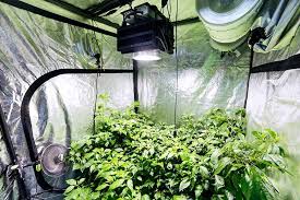 Grow Room Ventilation Systems A