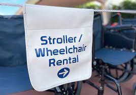 Ecv Or Wheelchair At Disney World