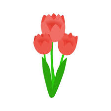 Pink Tulips Icon Isometric 3d Style