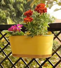 Buy Hanging Planter Pot At