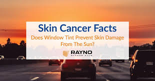 Skin Cancer Facts Does Window Tint